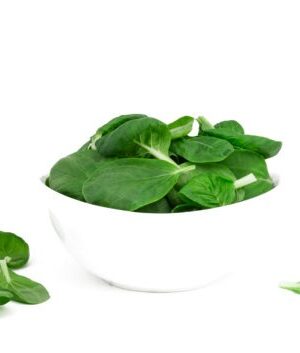 Pak Choi (Baby)